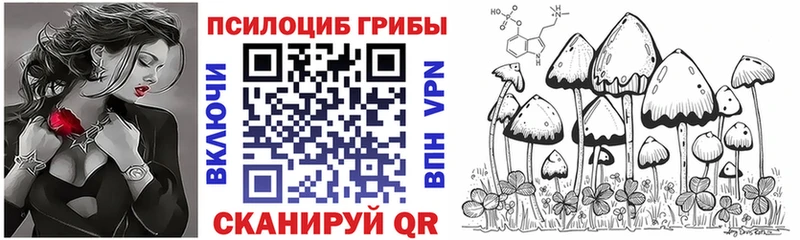 Галлюциногенные грибы Magic Shrooms  Купить закладки  Находка 